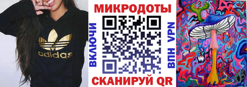 Галлюциногенные грибы Psilocybine cubensis  Киржач 